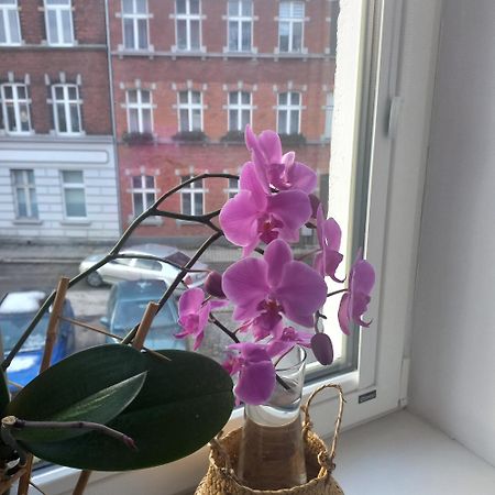 Apartament Prowansalski Z Miejscem Parkingowym グダニスク エクステリア 写真